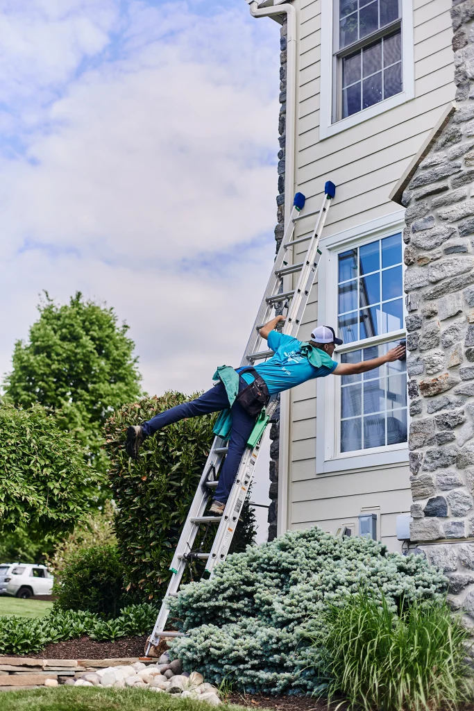 Exterior house window washing by professional cleaners using ladders and squeegees